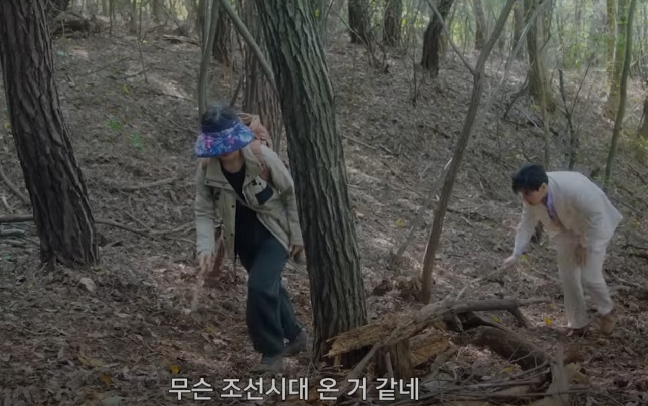 당신의맛 재방송 및 OTT
