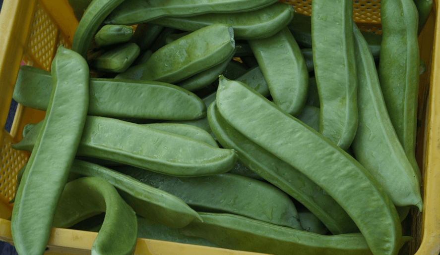 작두콩이 노란 플라스틱 박스에 담겨 있다