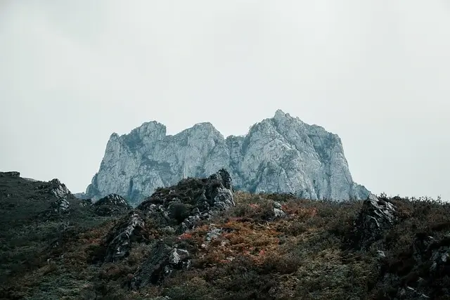 국립공원 예약시스템