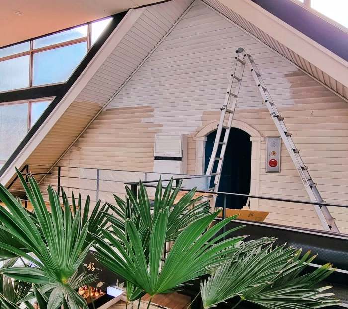 생방송오늘저녁 보령 대천 여행 바둑이네 동물원 미술관 허브랜드 모히또 허브꽃밥 디저트 플라워 카페