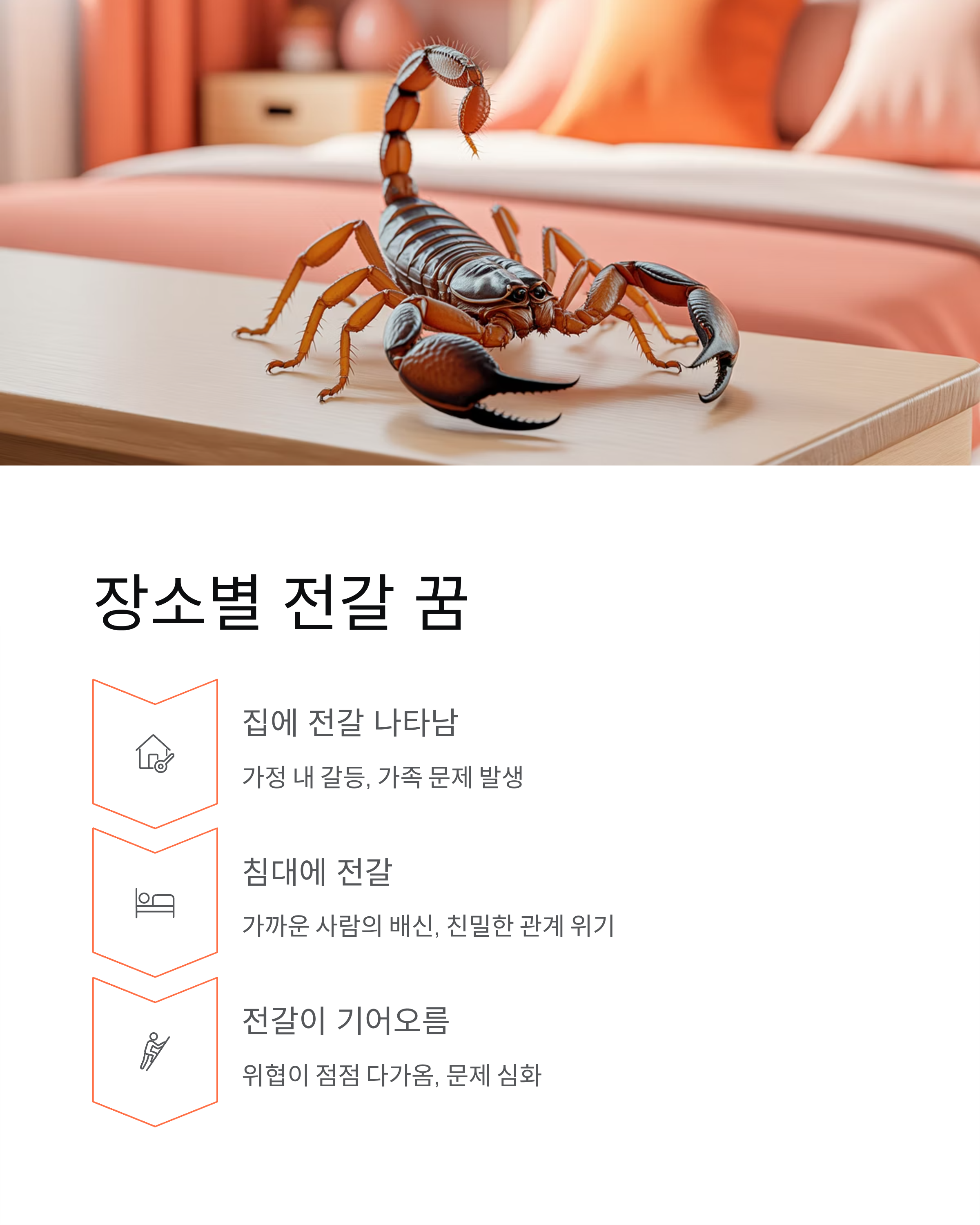전갈꿈 해몽 총정리, 쏘이는꿈·잡는꿈·죽이는꿈 완벽 분석!