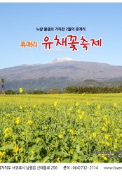 2024 봄꽃 축제(휴애리 유채꽃 축제)
