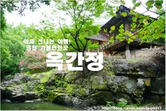 영천 가볼만한곳 맛집 카페 추천 여름 사진 명소_8