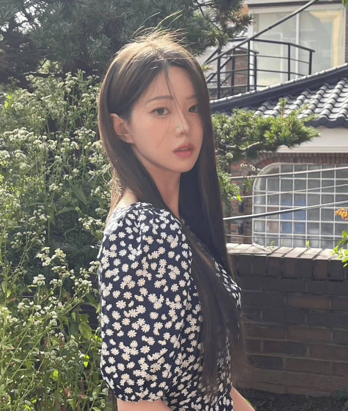 김아린