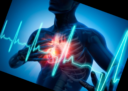 콤부차 효능 부작용 이디아 콤부차