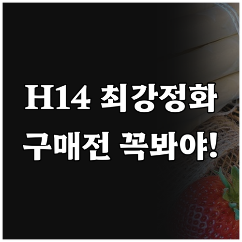 대형 광역 청정 H14 H13 필터 ..