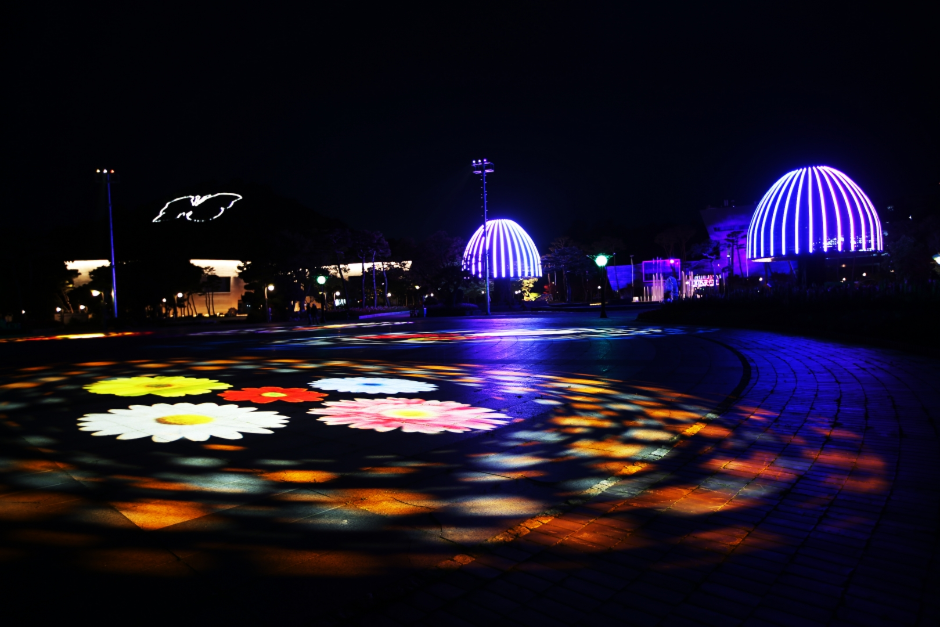 제 26회 함평나비대축제 기본정보와 프로그램 소개 박지현 지원이 박서진 김정우 코요태 육중완밴드 윤도현밴드 비스타 케이씨 허니제이&홀리뱅 출연