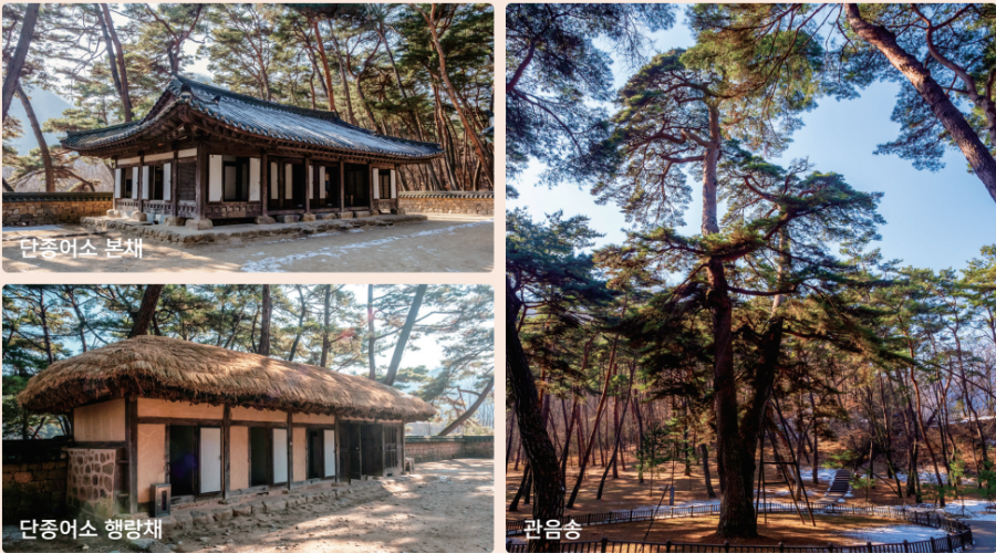 영월 청령포 여행