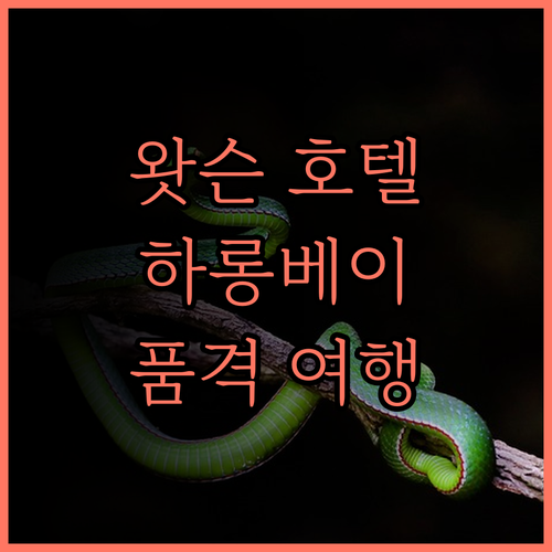 더 왓슨 프리미엄 하롱 호텔 완벽 분