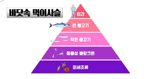 오메가3 효능