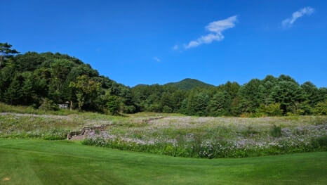 골프장 경험담 홍천 세이지우드cc 사람이 가장 쾌적함을 느끼는 해발 765m에서 경험하는 자연, 골프, 쉼