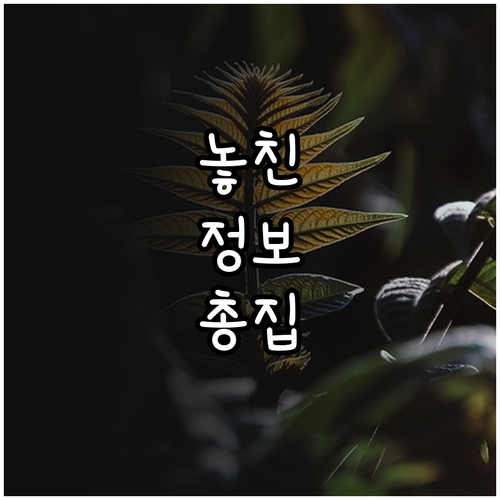 춘천시 산후조리비 2025 총정리 대..