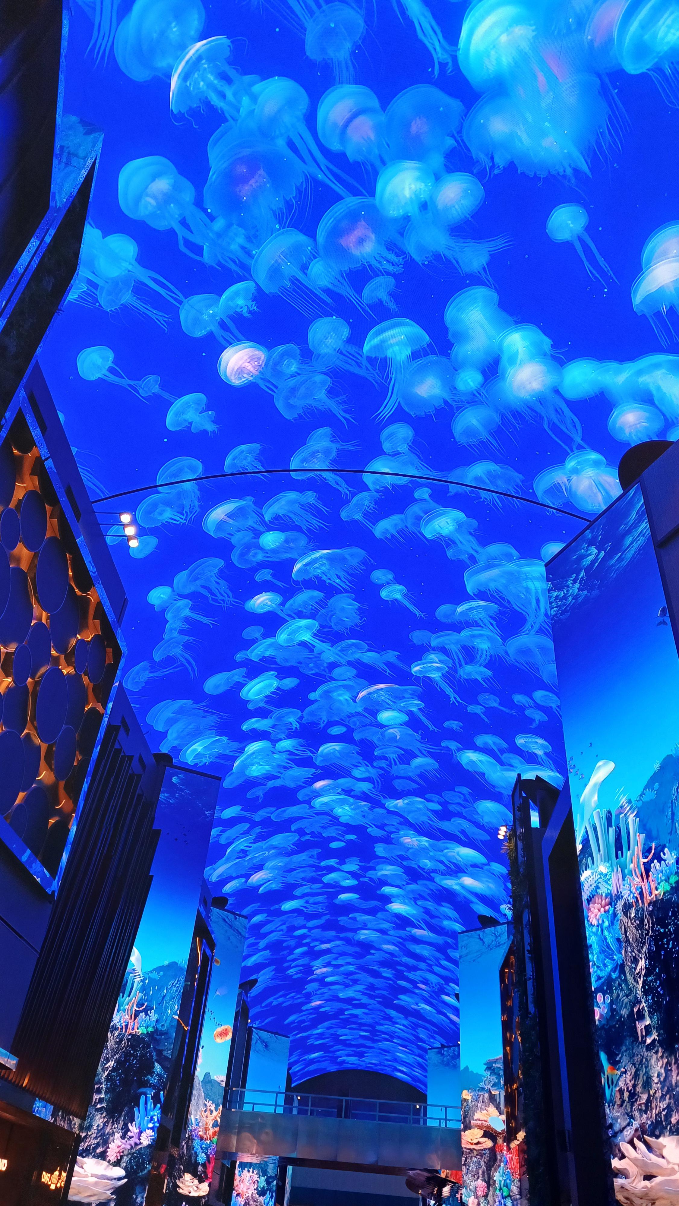 인스파이어-오로라-고래쇼-8