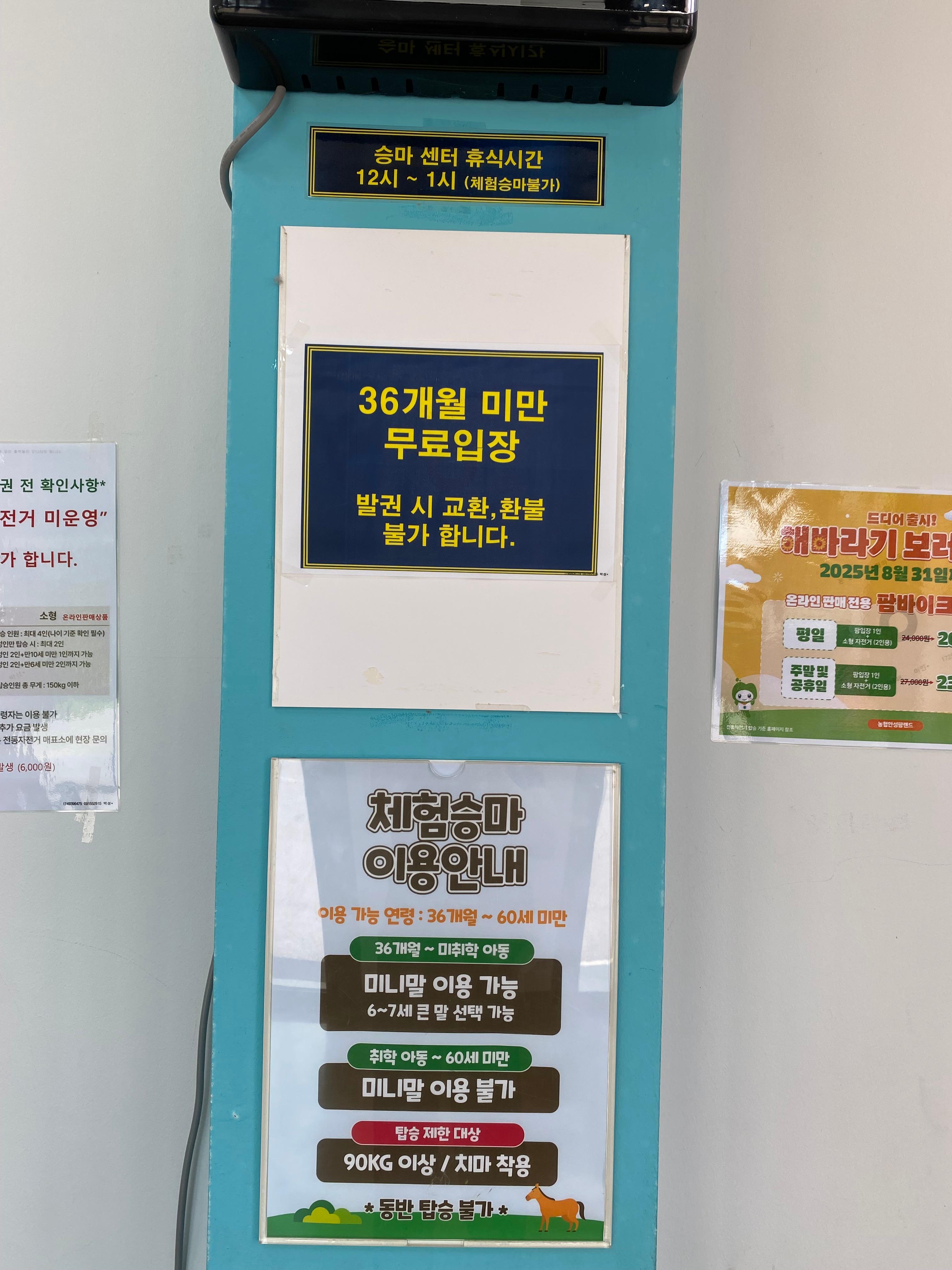 36개월미만 무료입장 체험승마안내