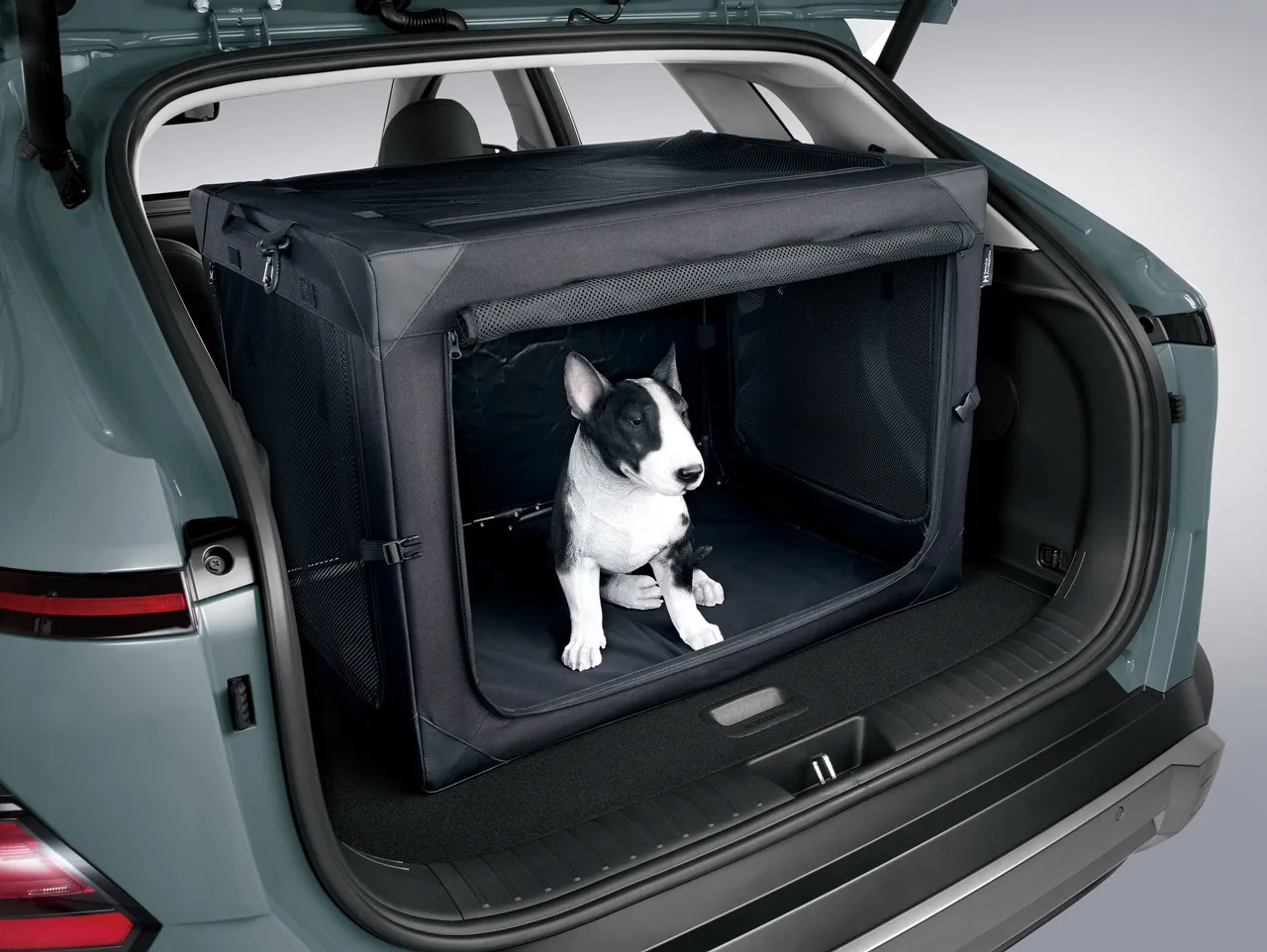 2025 현대 코나 이미지