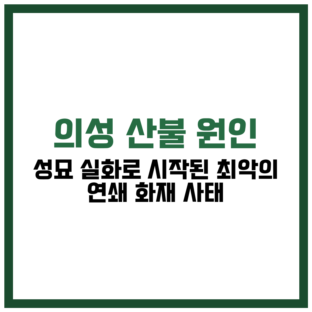 의성 산불 원인,
성묘 실화로 시작된 최악의 연쇄 화재 사태의 법적 처벌은?