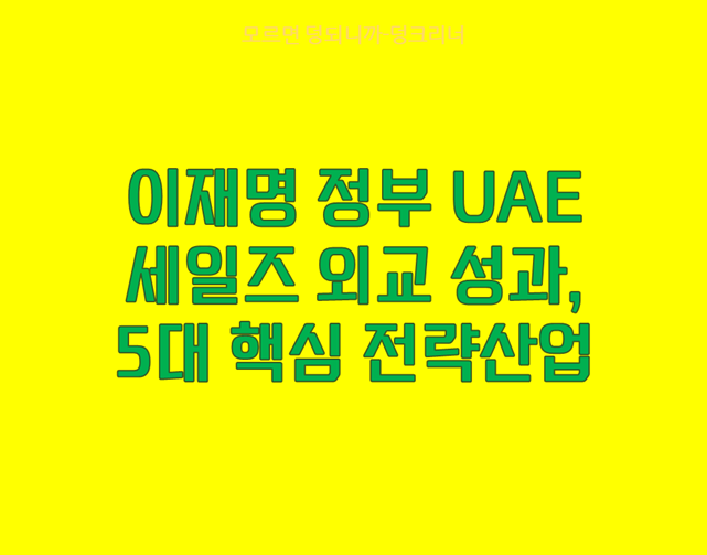 UAE 세일즈 외교