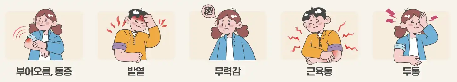 인플루엔자 예방접종 후 이상반응
