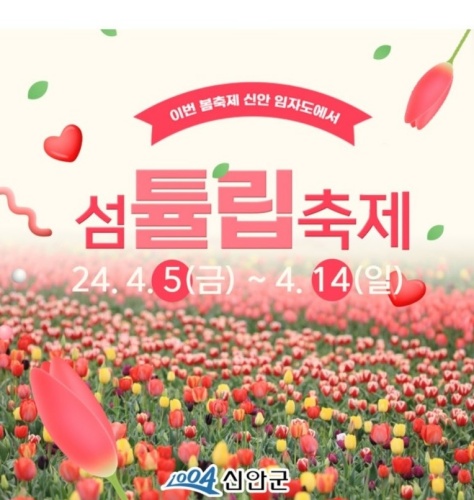 신안섬튤립축제