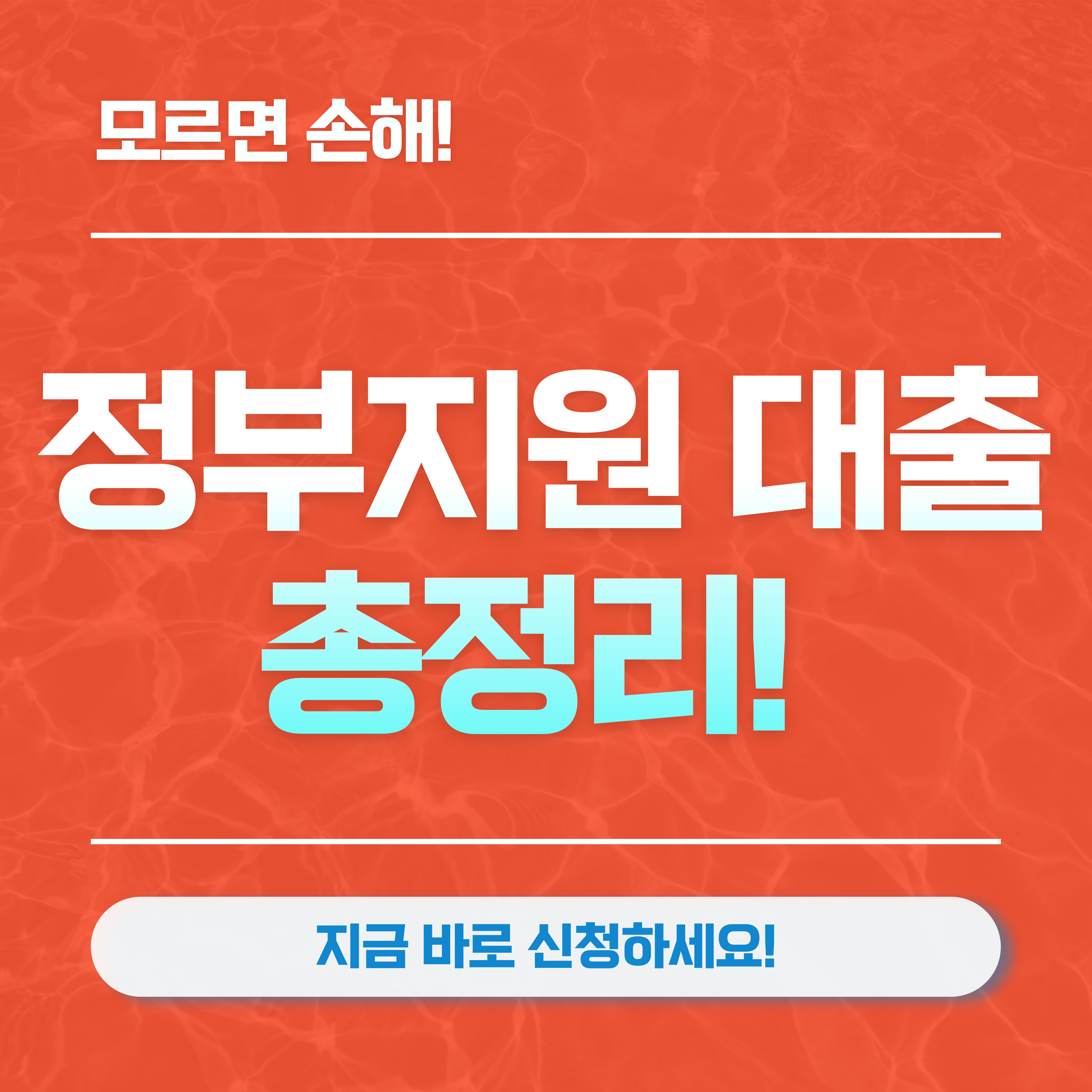 정부지원 대출
