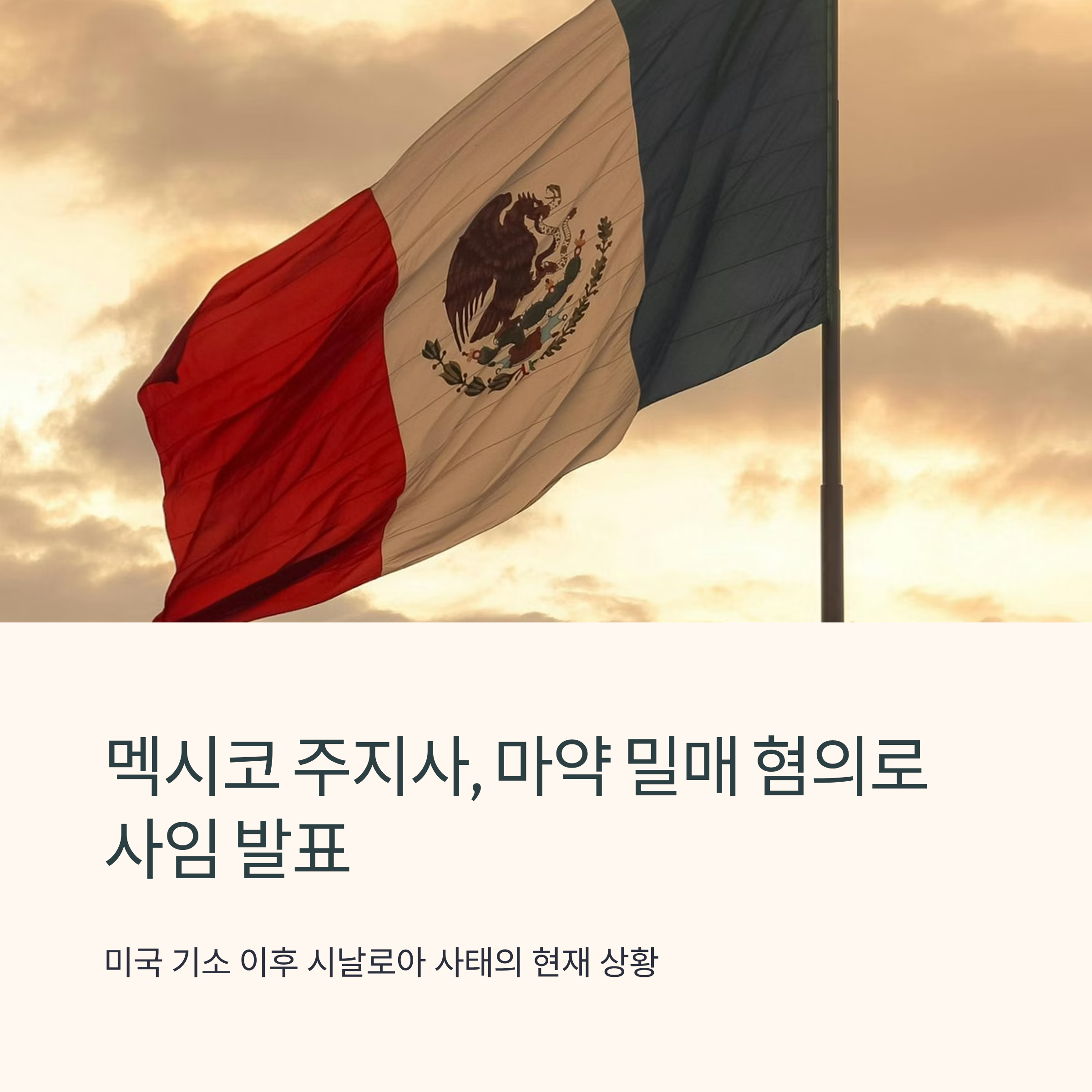 멕시코 주지사&middot;시장 마약 밀매 혐의로 사임 발표