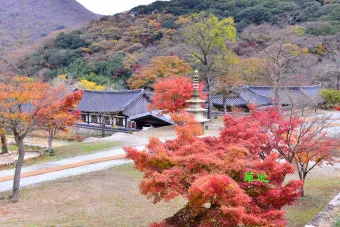 가을 단풍 여행지 베스트10 산책로 사진스팟 대중교통으로 여유롭게_15
