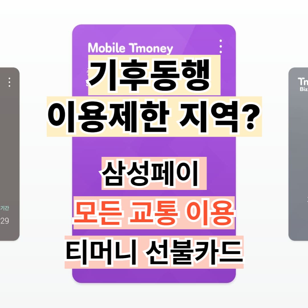 기후동행카드 선불카드와 병행사용