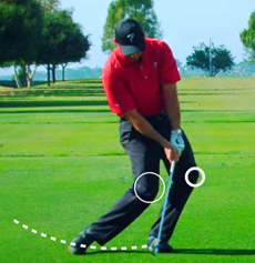 골프 레이트 버클 동작