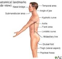 옆구리가 아플 때 집에서 하는 운동