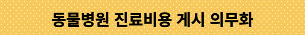동물 병원 홈페이지