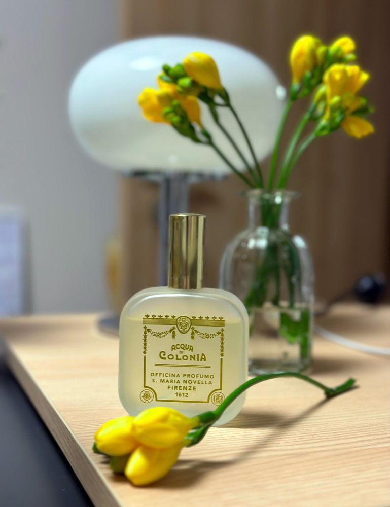 Fresia Santa Maria Novella