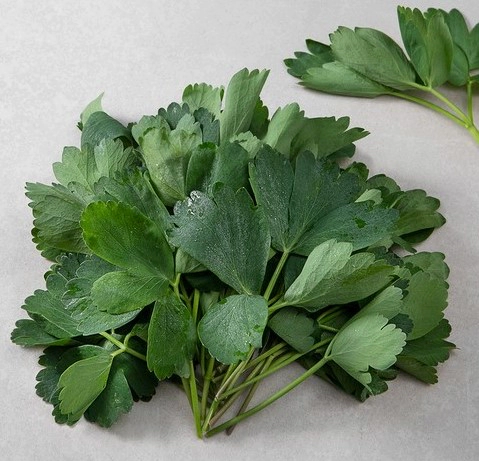 방풍나물 무침 황금 레시피