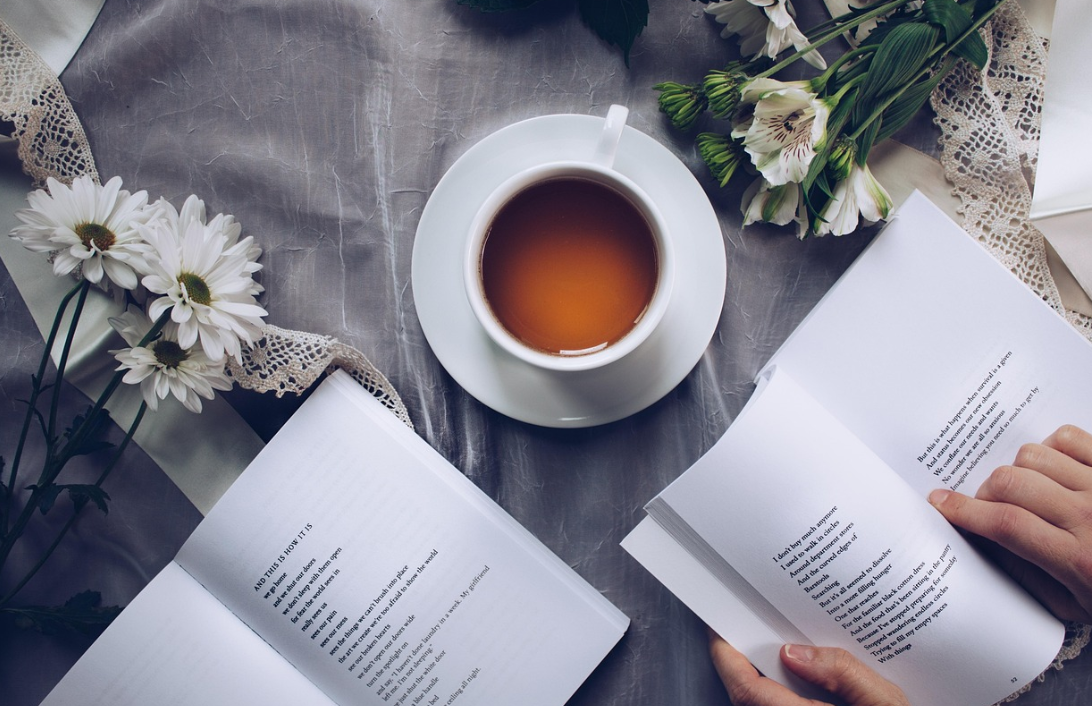 올해 책 고를 때 꼭 참고하면 좋은 가이드