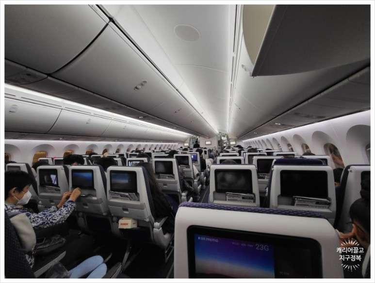 뉴웍으로 가는 에어 프레미아 후기