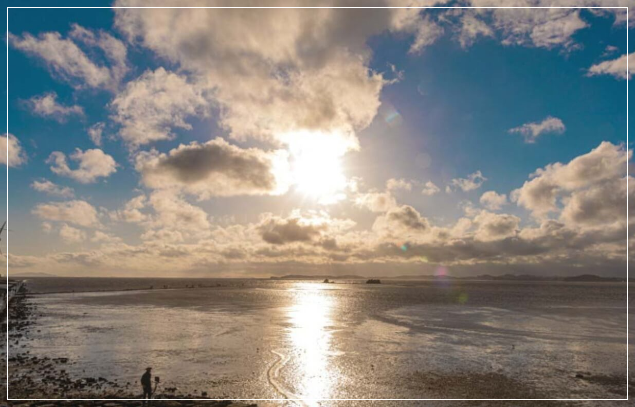 서해안 가볼만한곳 베스트10 대부도 탄도항·누에섬 바다부채길
