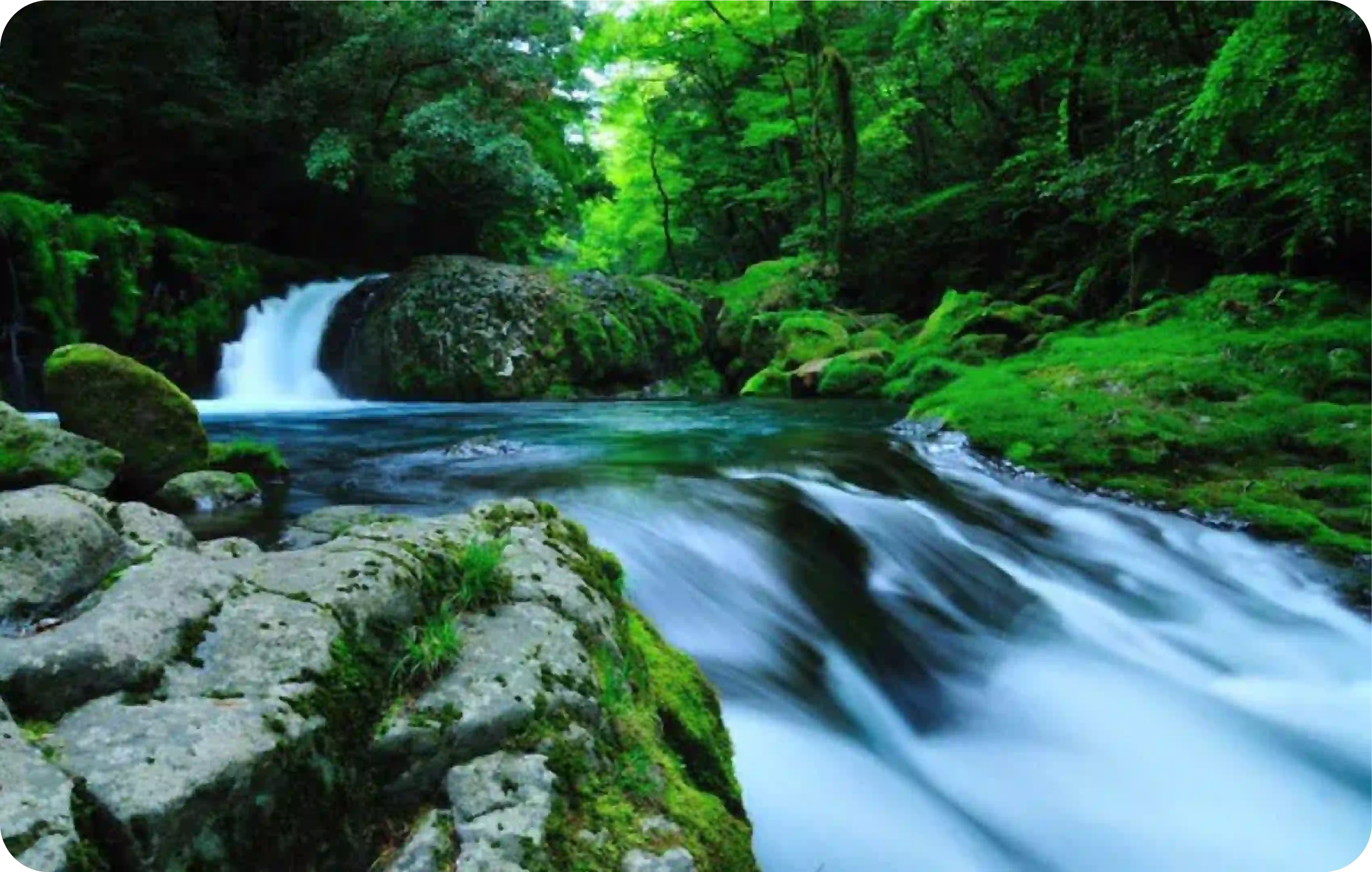 기쿠치 계곡(기쿠치시)