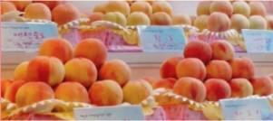 조치원 복숭아축제