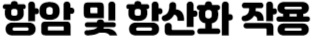 항암 항산화