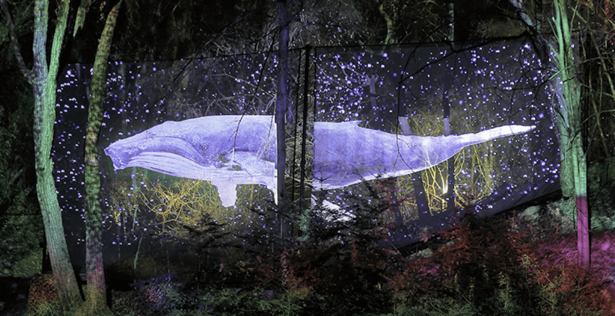 오크밸리 리조트