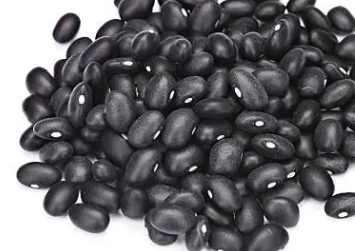 두피 가려움증 원인 12