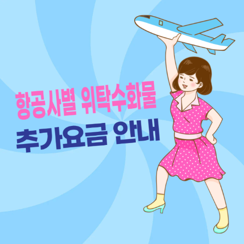 항공사별 위탁 수하물 추가 요금 안내 관련 사진