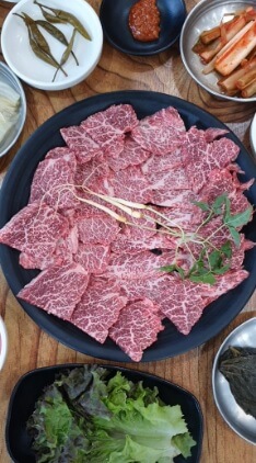 생방송투데이 막 퍼주는 집, 얼만데요? 서울 종로 초저가 육회비빔밥 맛집 반구정 민물장어 점심특선 통근점심 동묘역 맛집