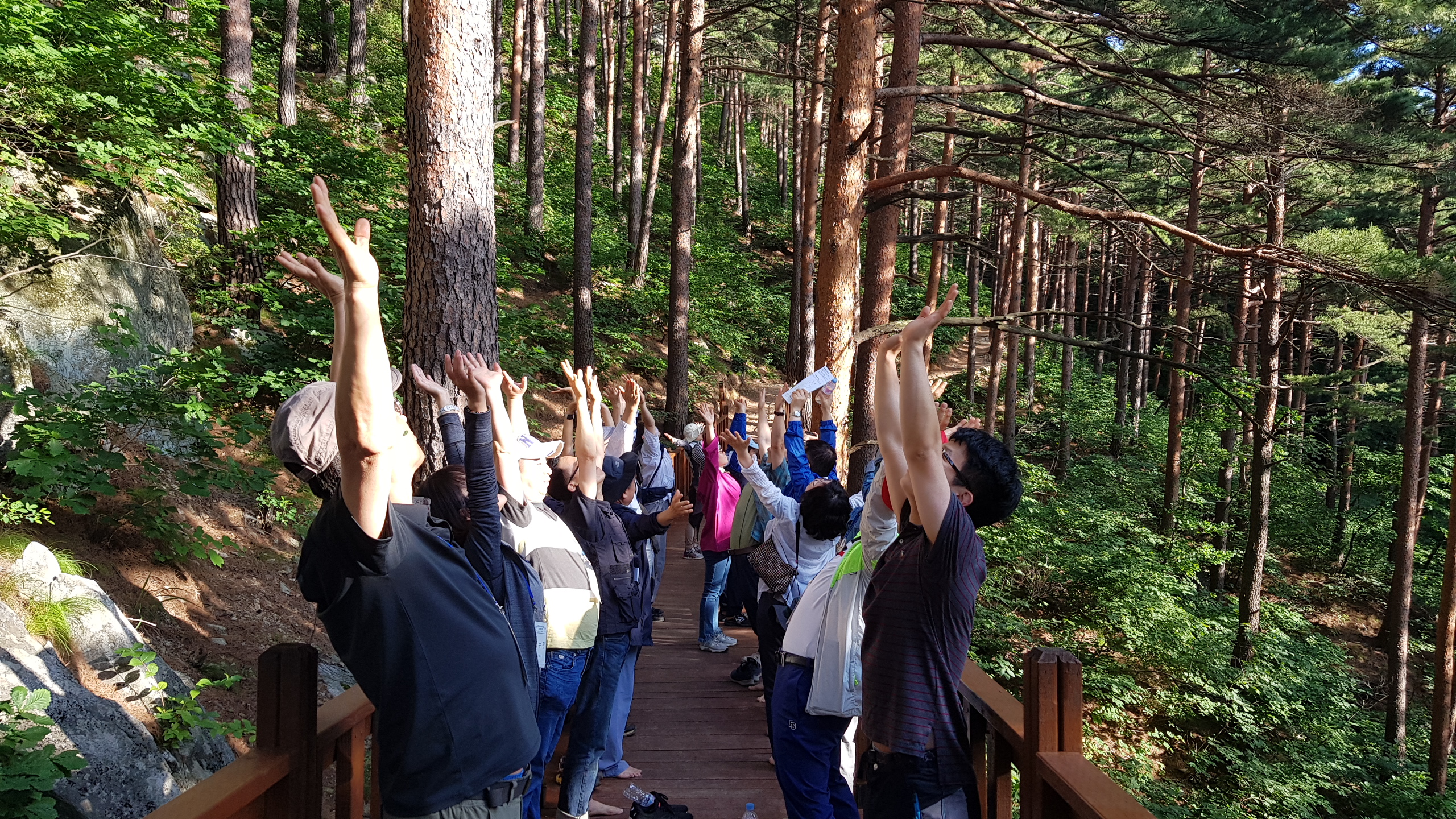 국립대관령 치유의 숲(1)