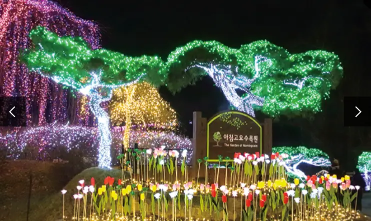 겨울 축제 가볼만한 곳 아침고요 수목원 오색별빛정원전