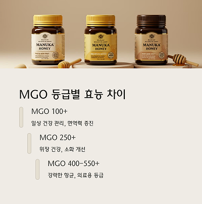 내게 맞는 MGO 등급 선택법 (사용 목적별 추천)1