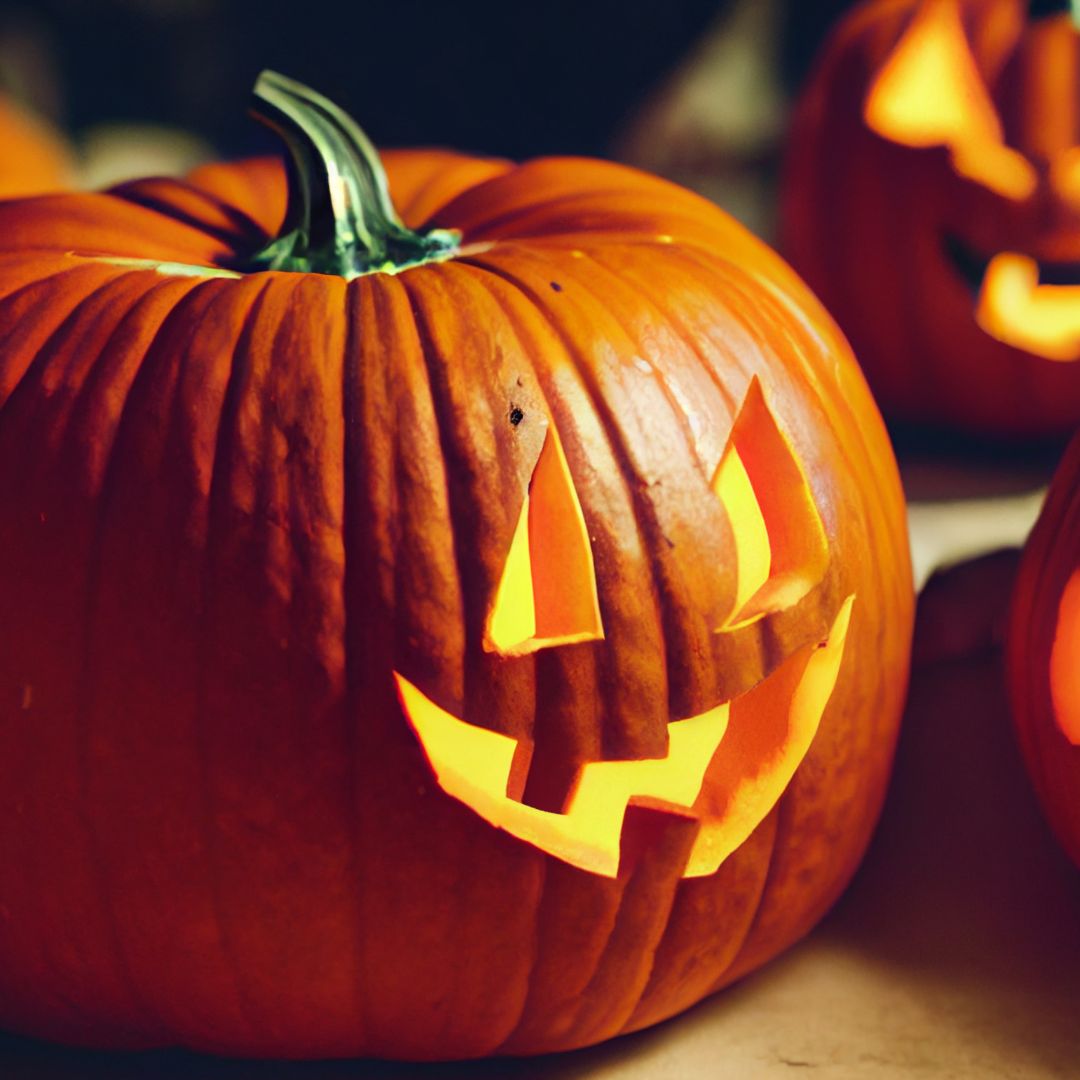 2024/할로윈/축제/열리는/대표 장소