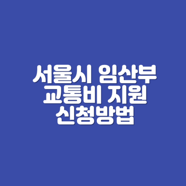 서울시 임산부 교통비 지원 신청방법