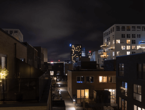 낮은-건물이-늘어져있는-밤거리