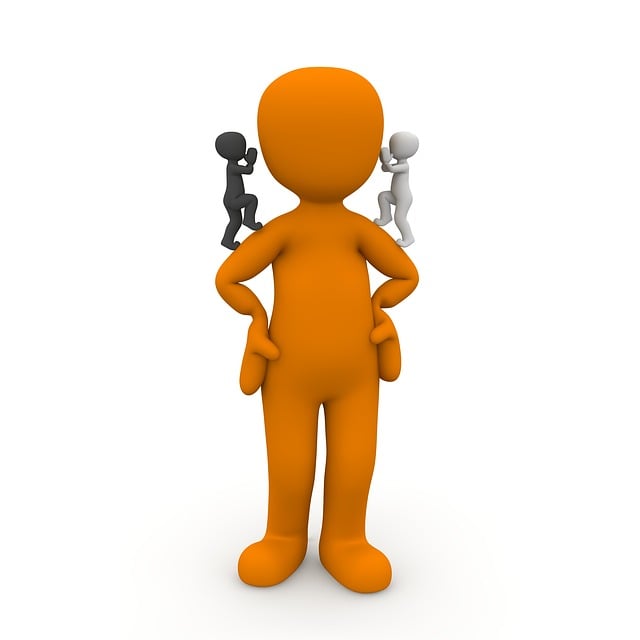 이명 원인과 증상