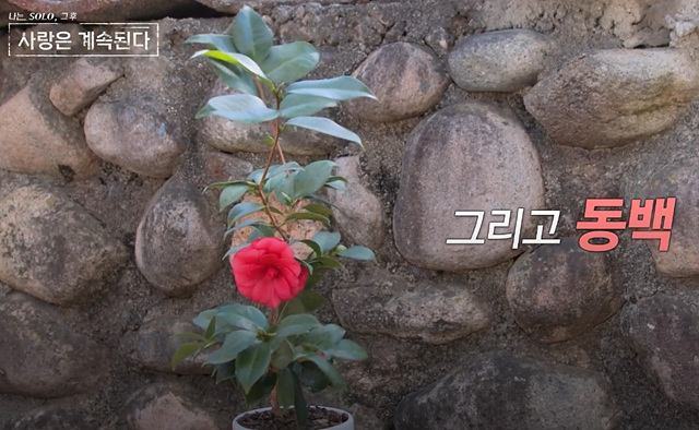 나솔사계 골싱특집 직업 나이 장미 국화 동백 백합